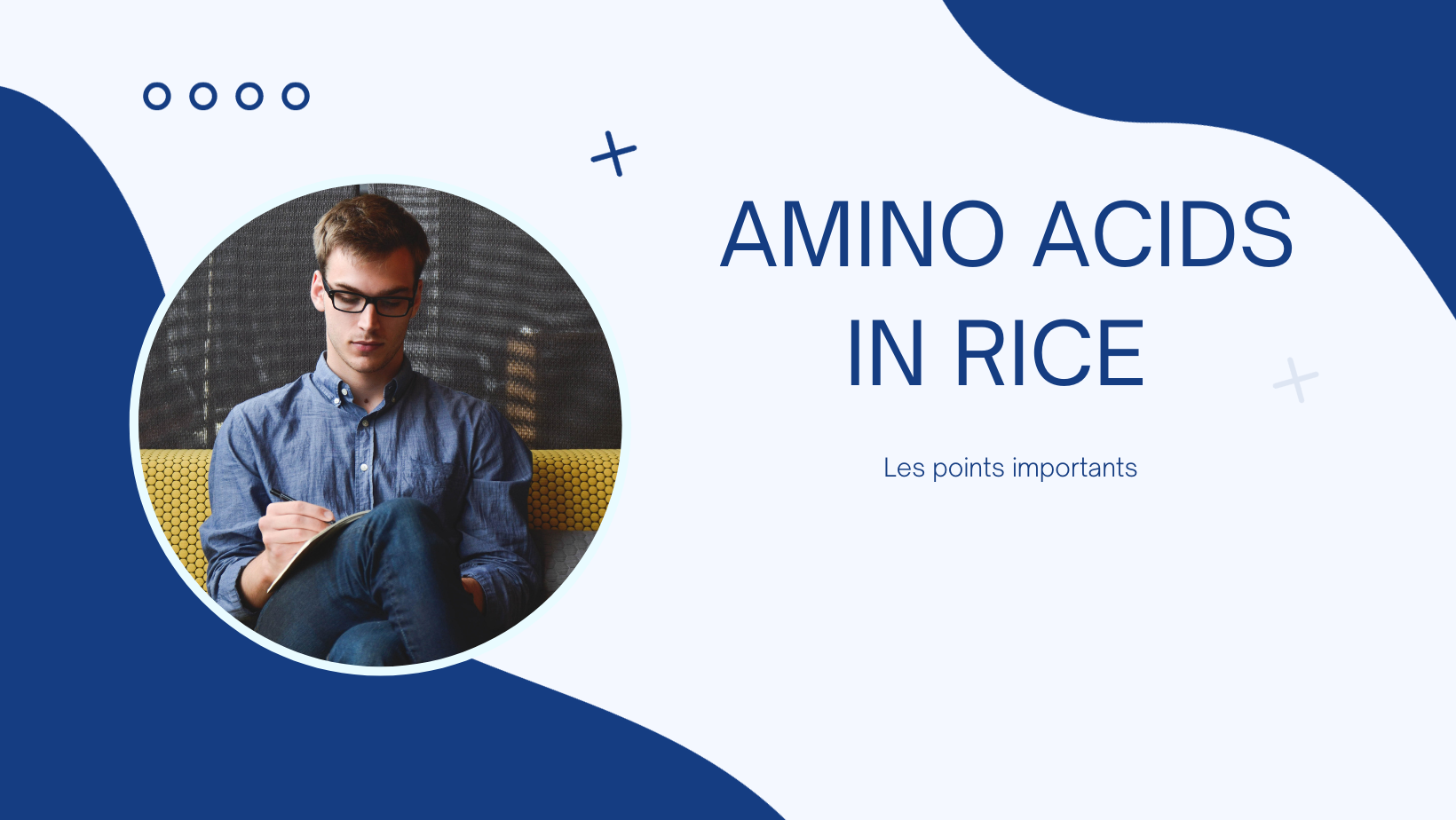 amino acids in rice | Les points importants