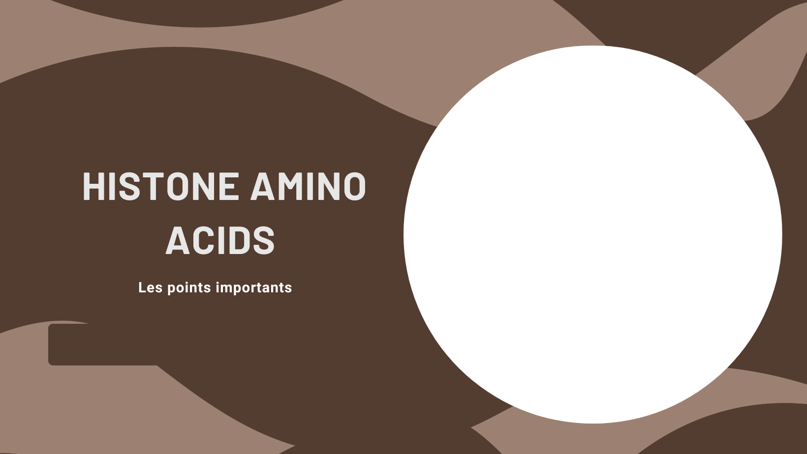 histone amino acids | Les points importants