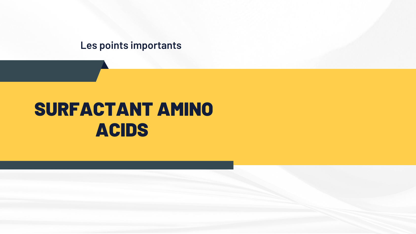 surfactant amino acids | Les points importants