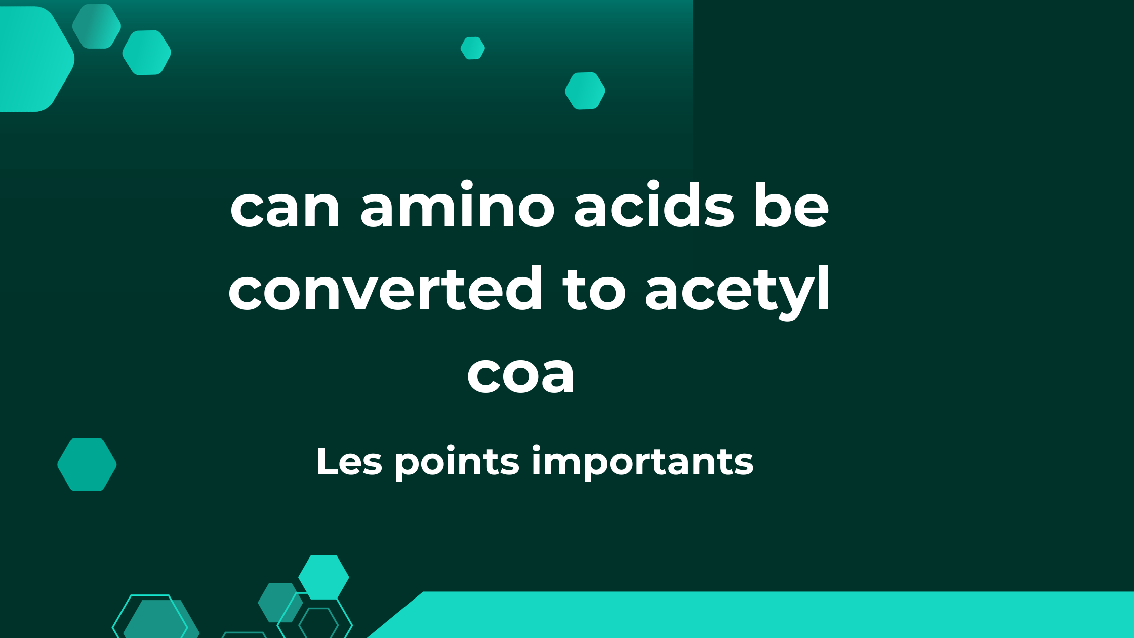 can amino acids be converted to acetyl coa | Les points importants