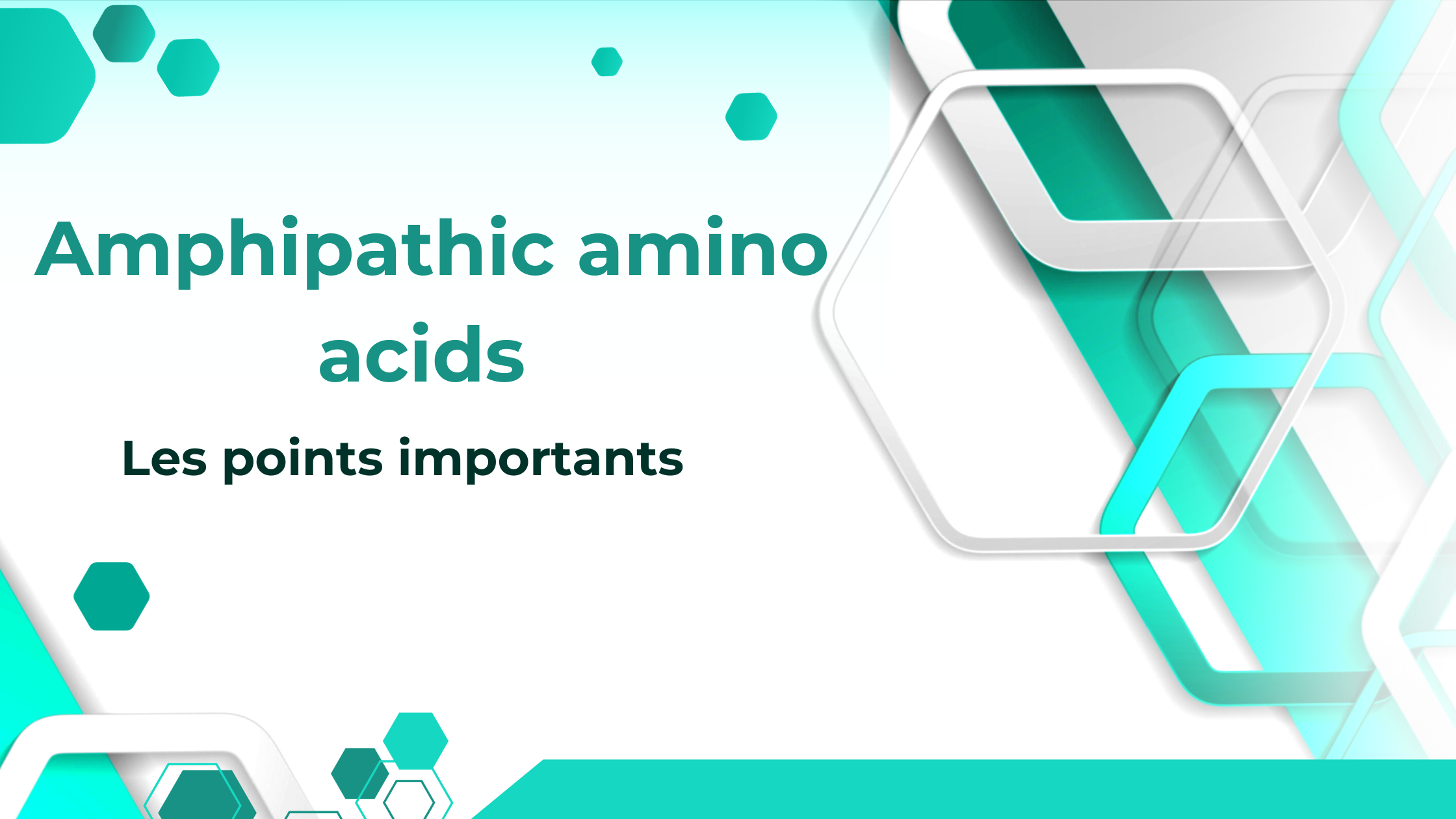 Amphipathic amino acids | Les points importants