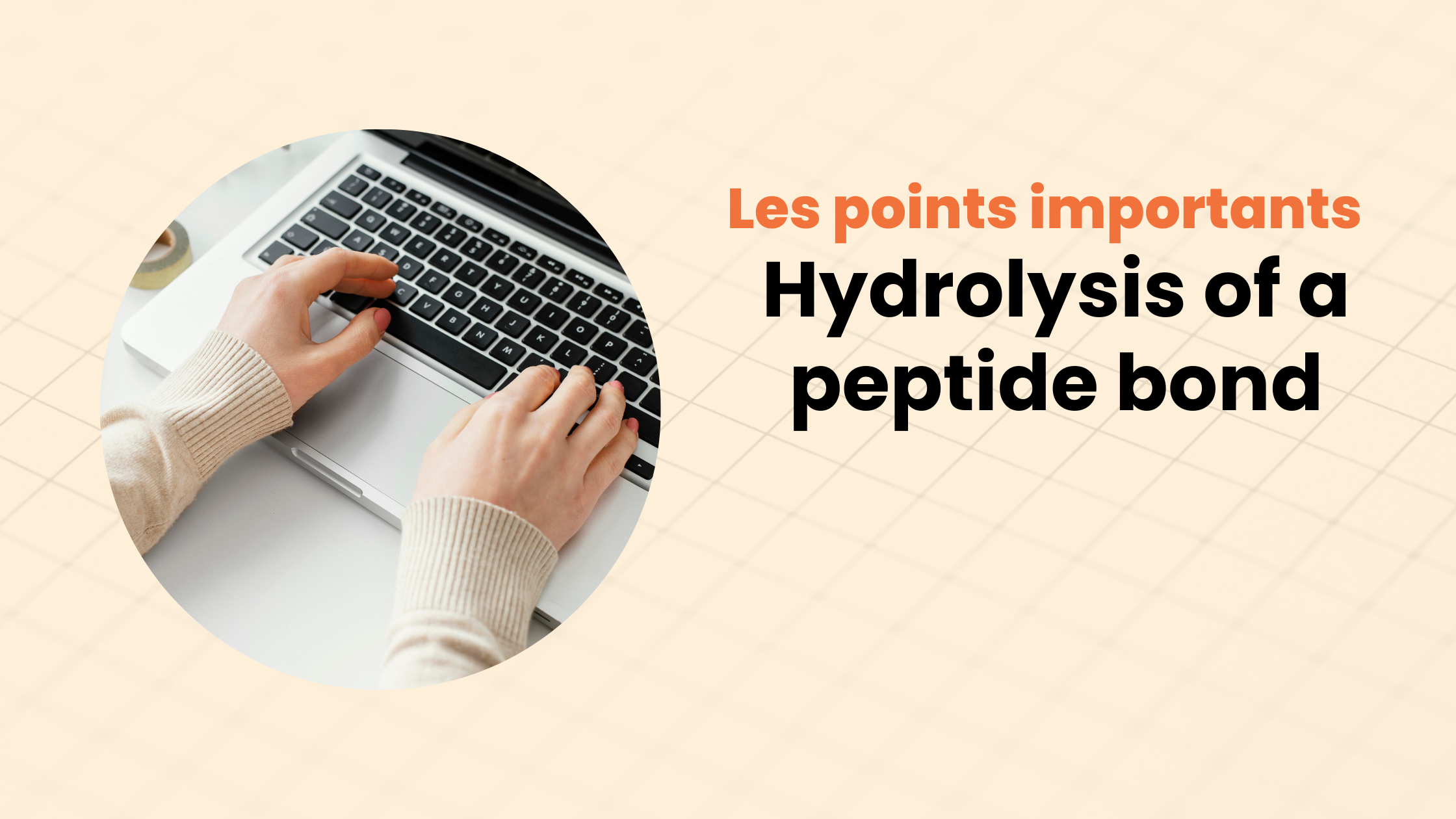 Hydrolysis of a peptide bond | Les points importants