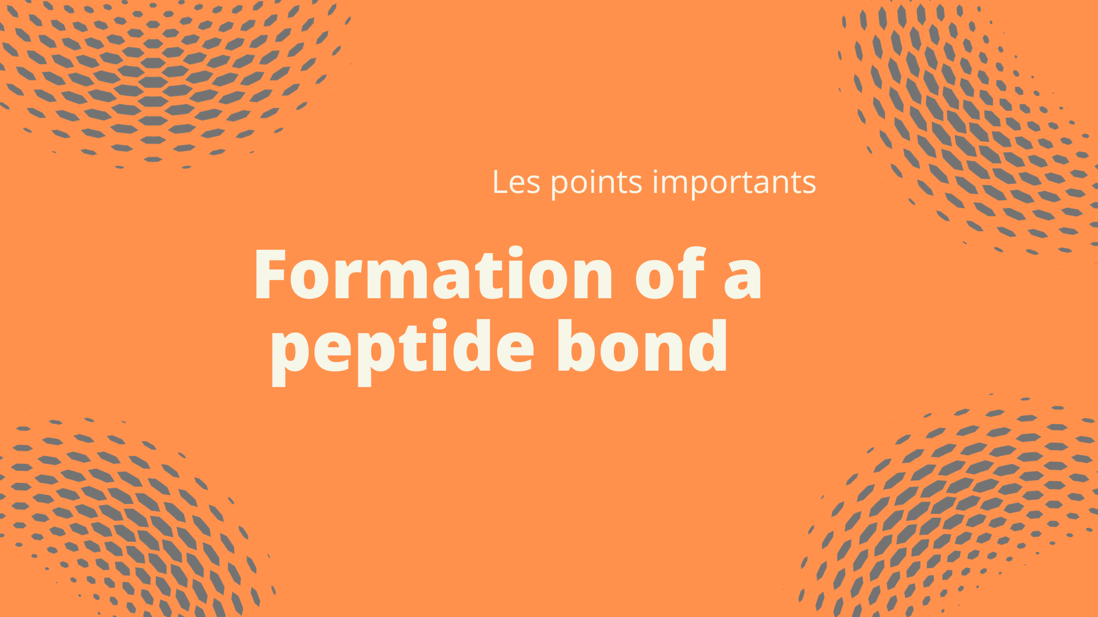 Formation of a peptide bond | Les points importants