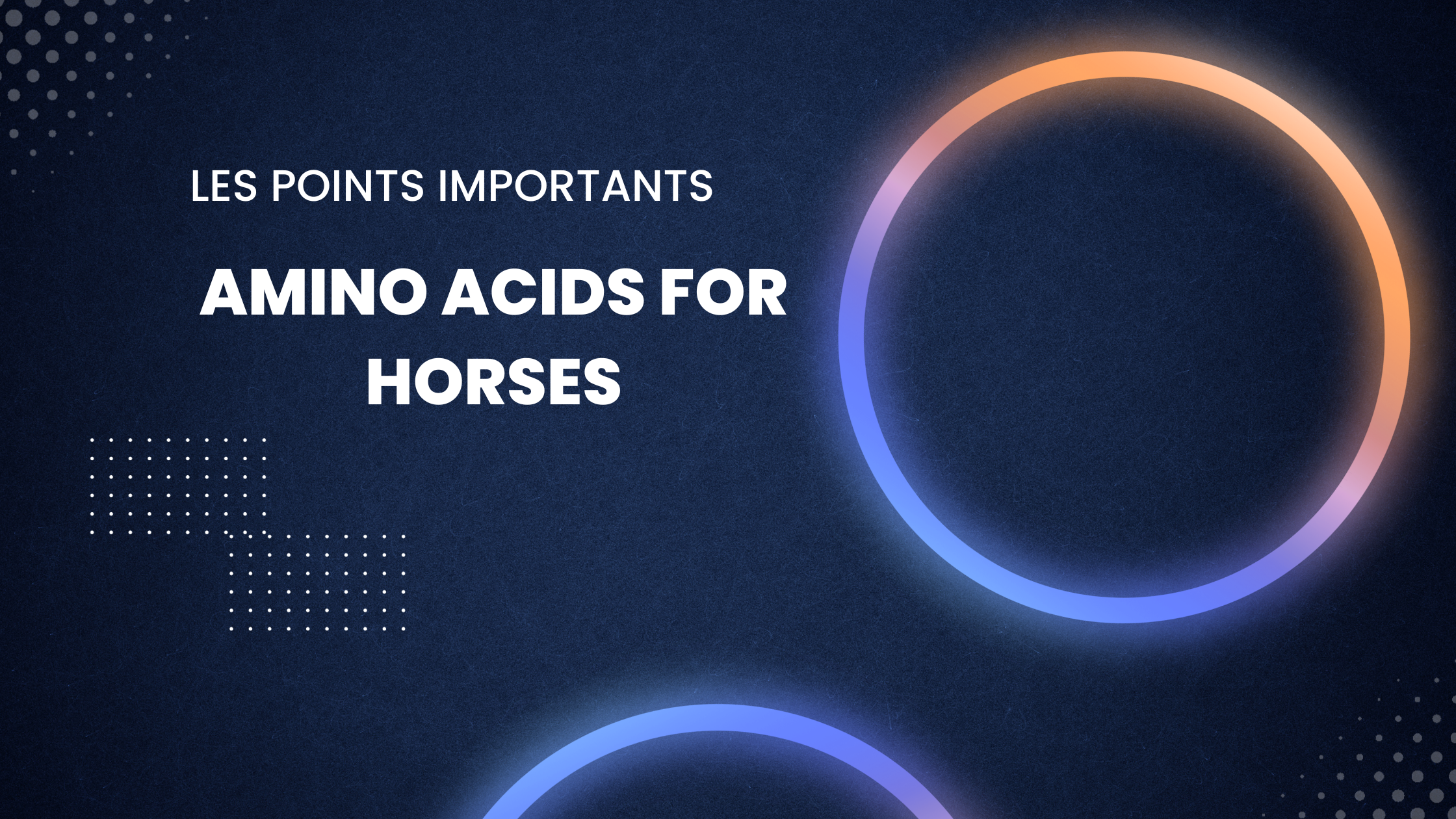 amino acids for horses | Les points importants