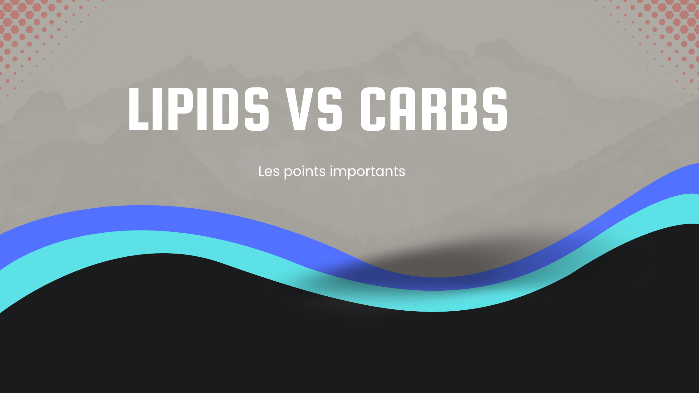 lipids vs carbs | Les points importants