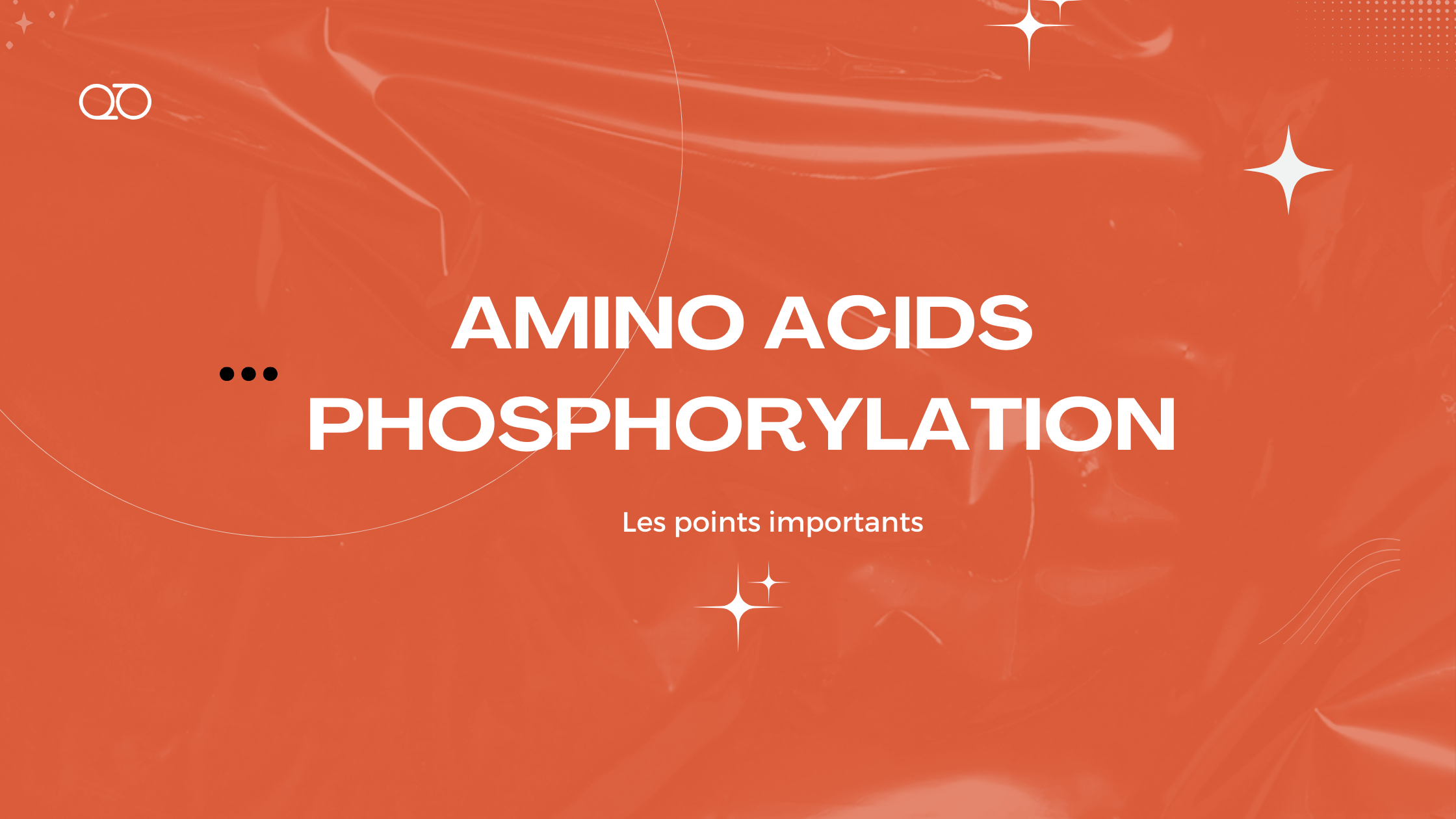 amino acids phosphorylation | Les points importants
