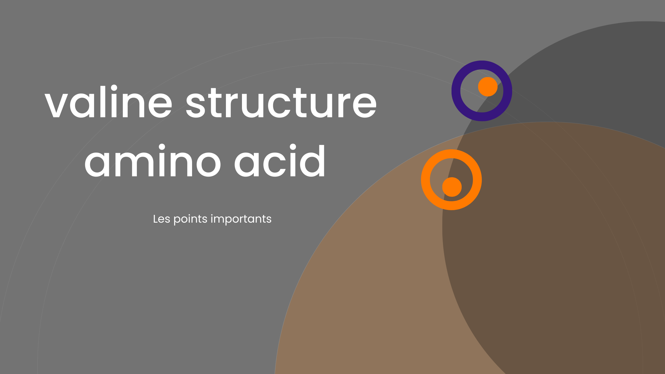 valine structure amino acid | Les points importants
