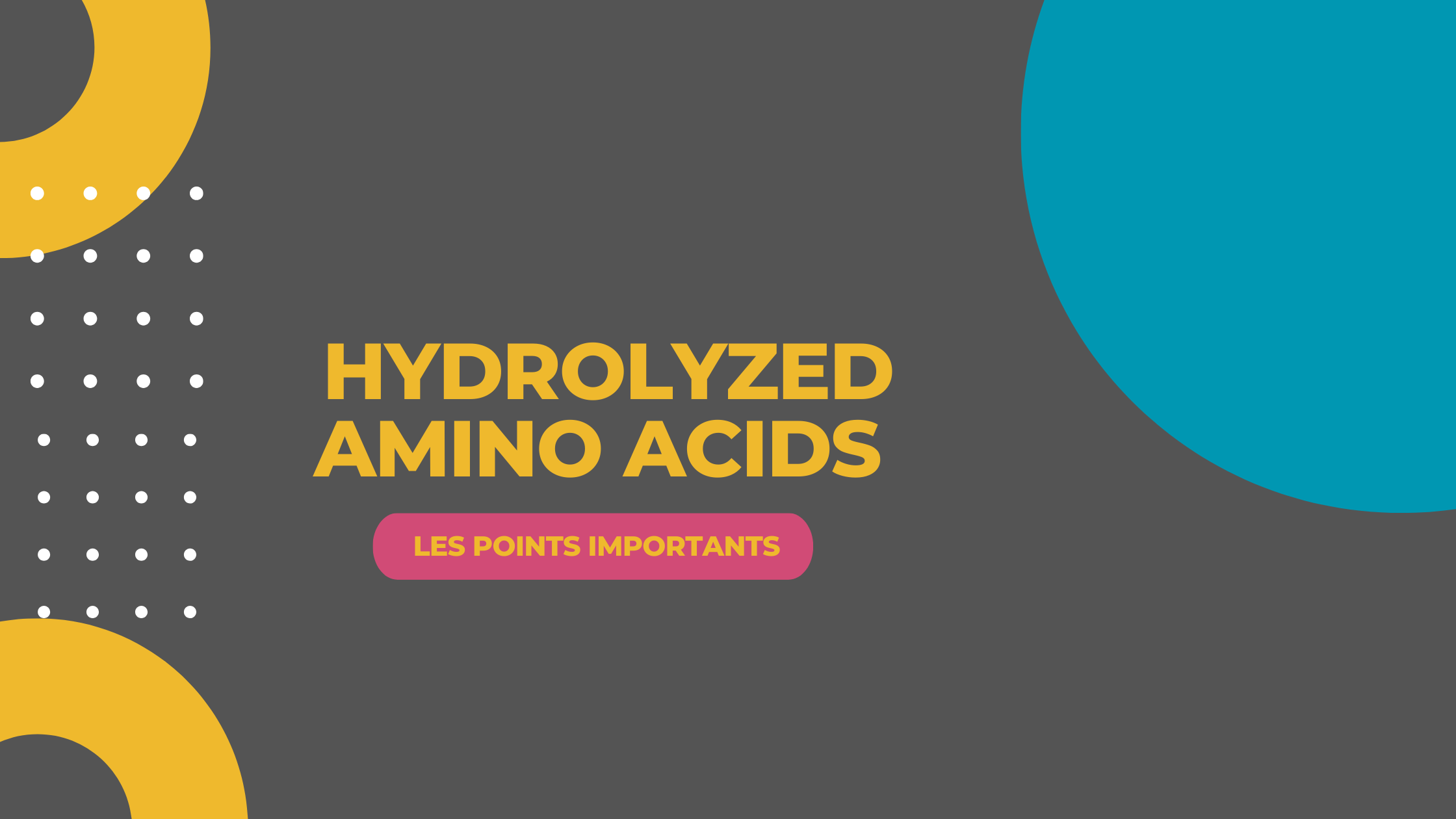 hydrolyzed amino acids | Les points importants