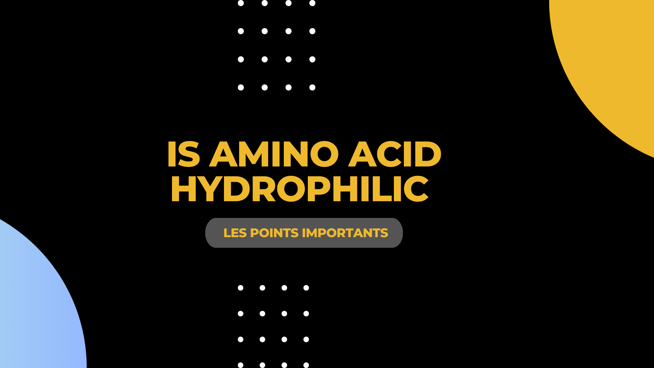 is amino acid hydrophilic