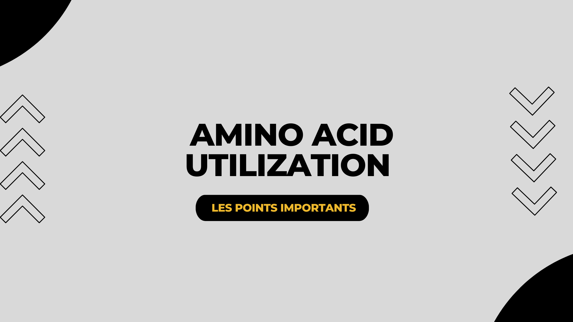 amino acid utilization | Les points importants