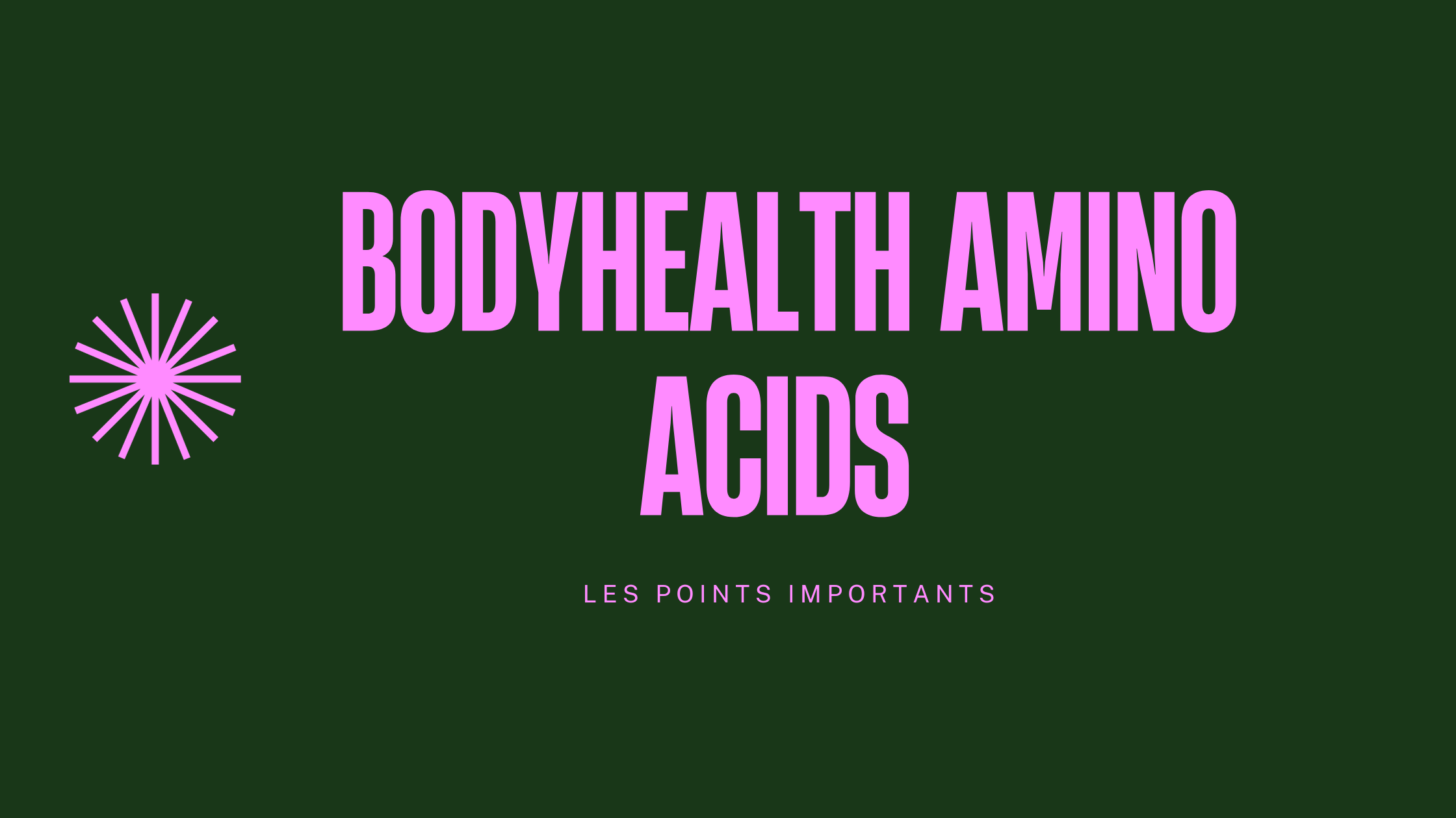 bodyhealth amino acids | Les points importants