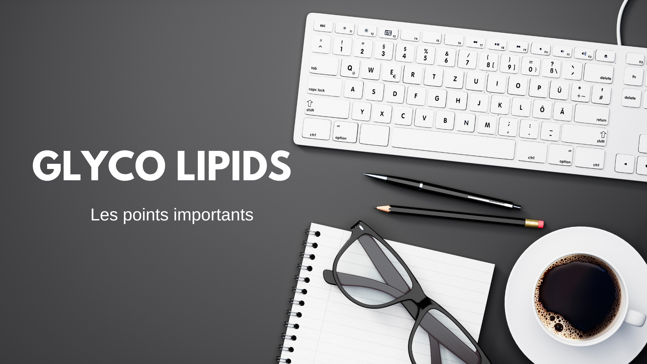 glyco lipids | Les points importants