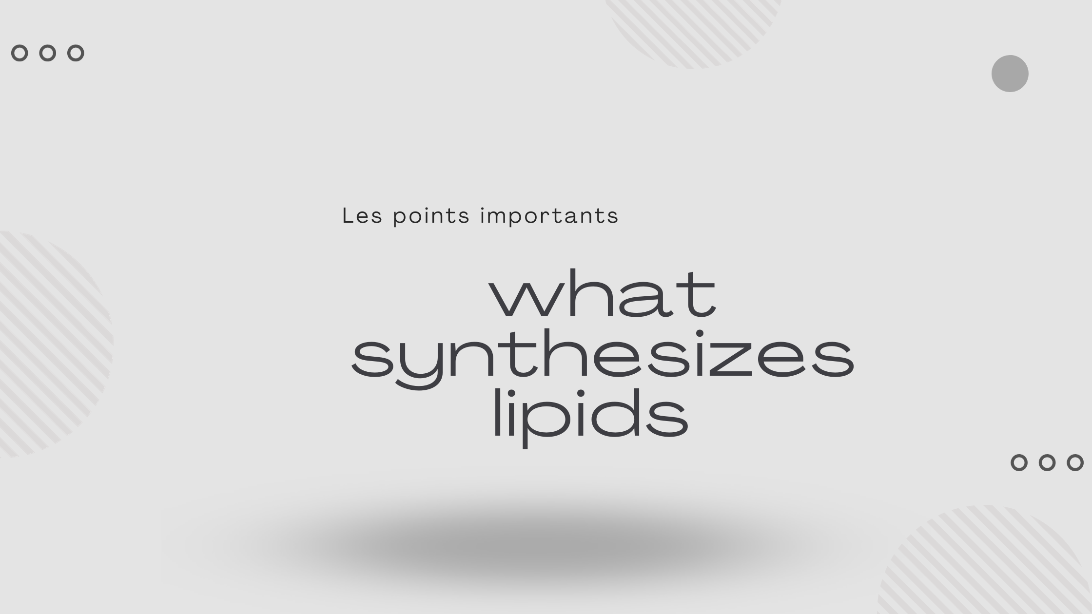 what synthesizes lipids | Les points importants