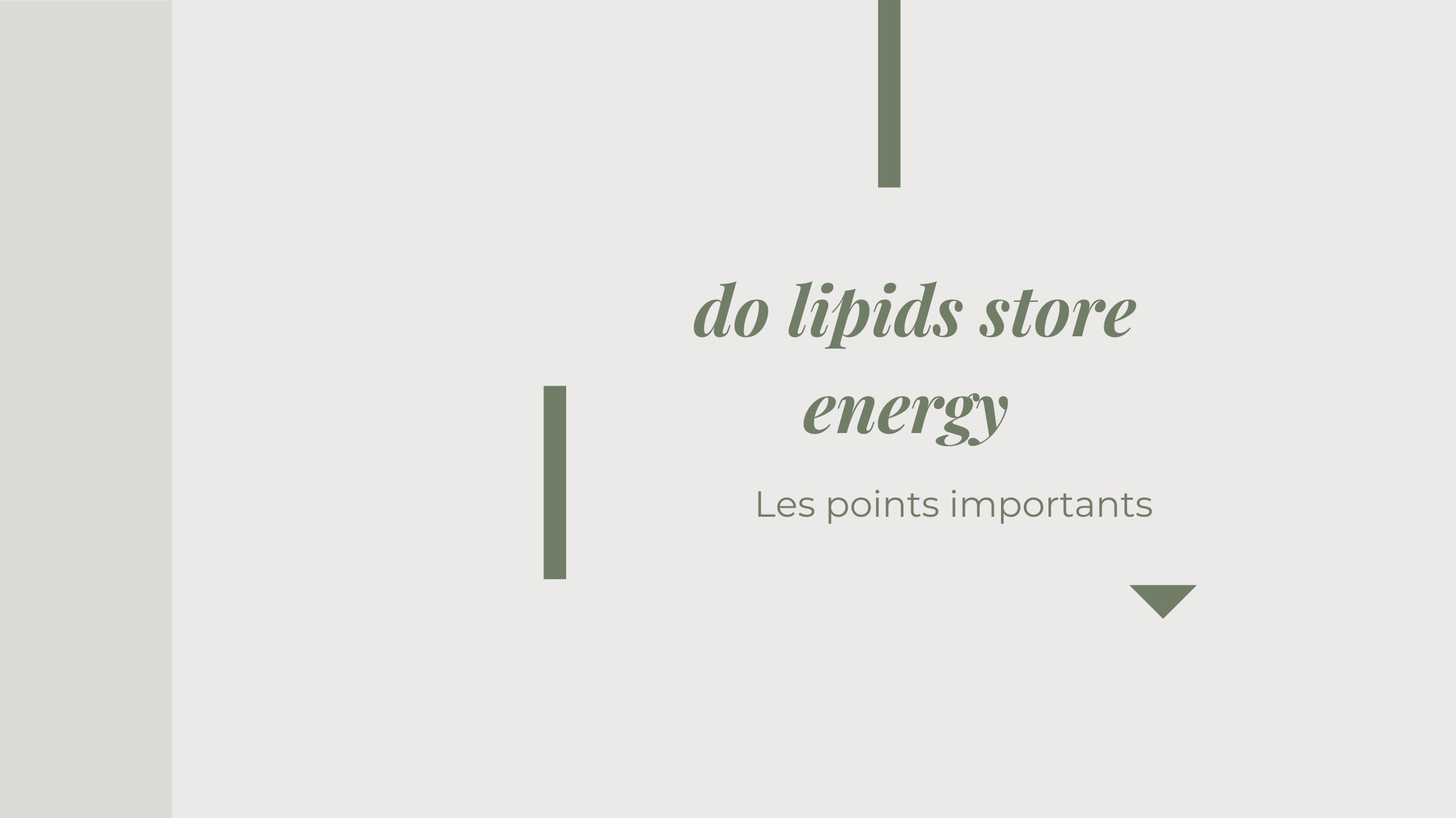 do lipids store energy | Les points importants