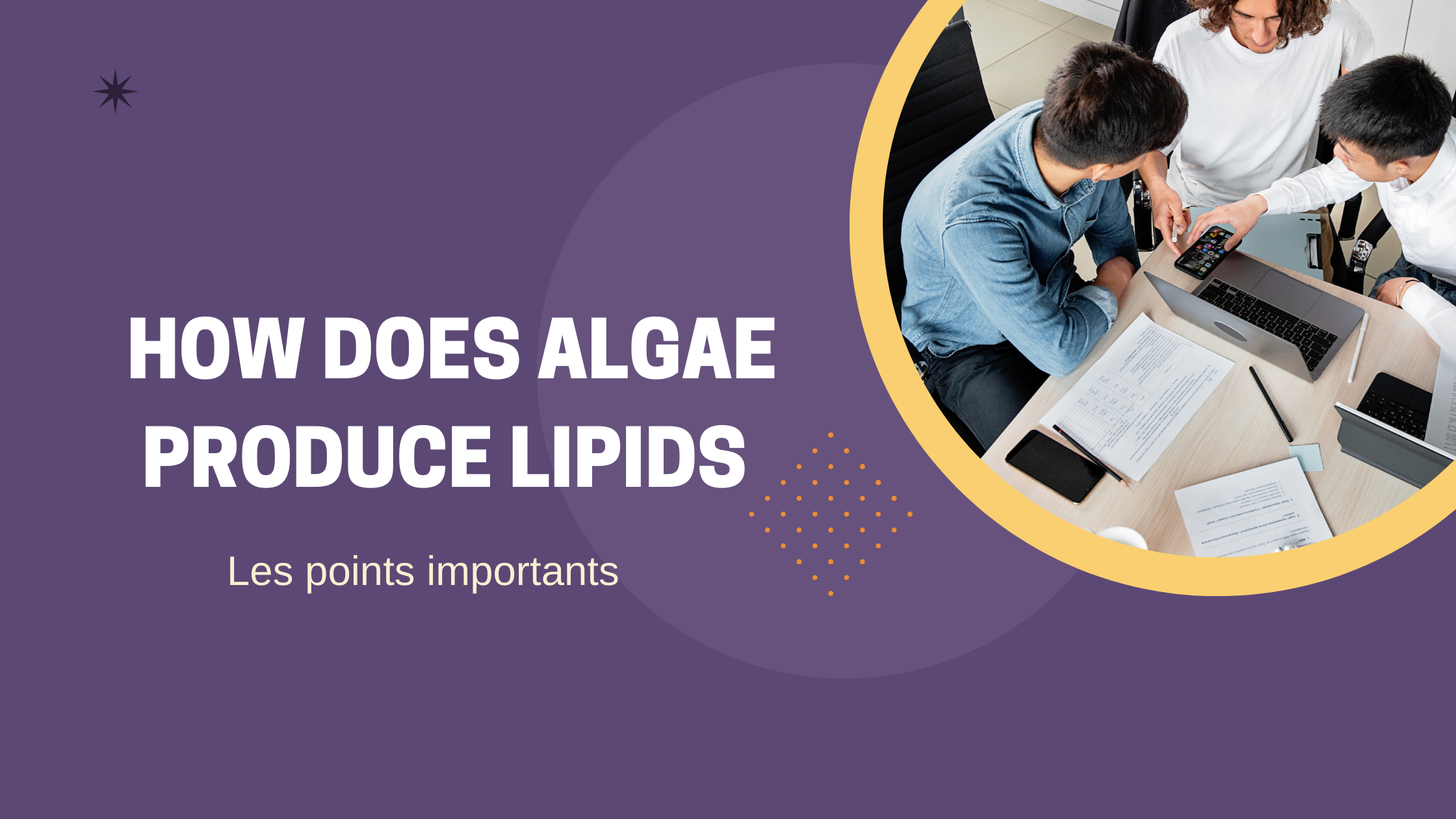 how does algae produce lipids | Les points importants