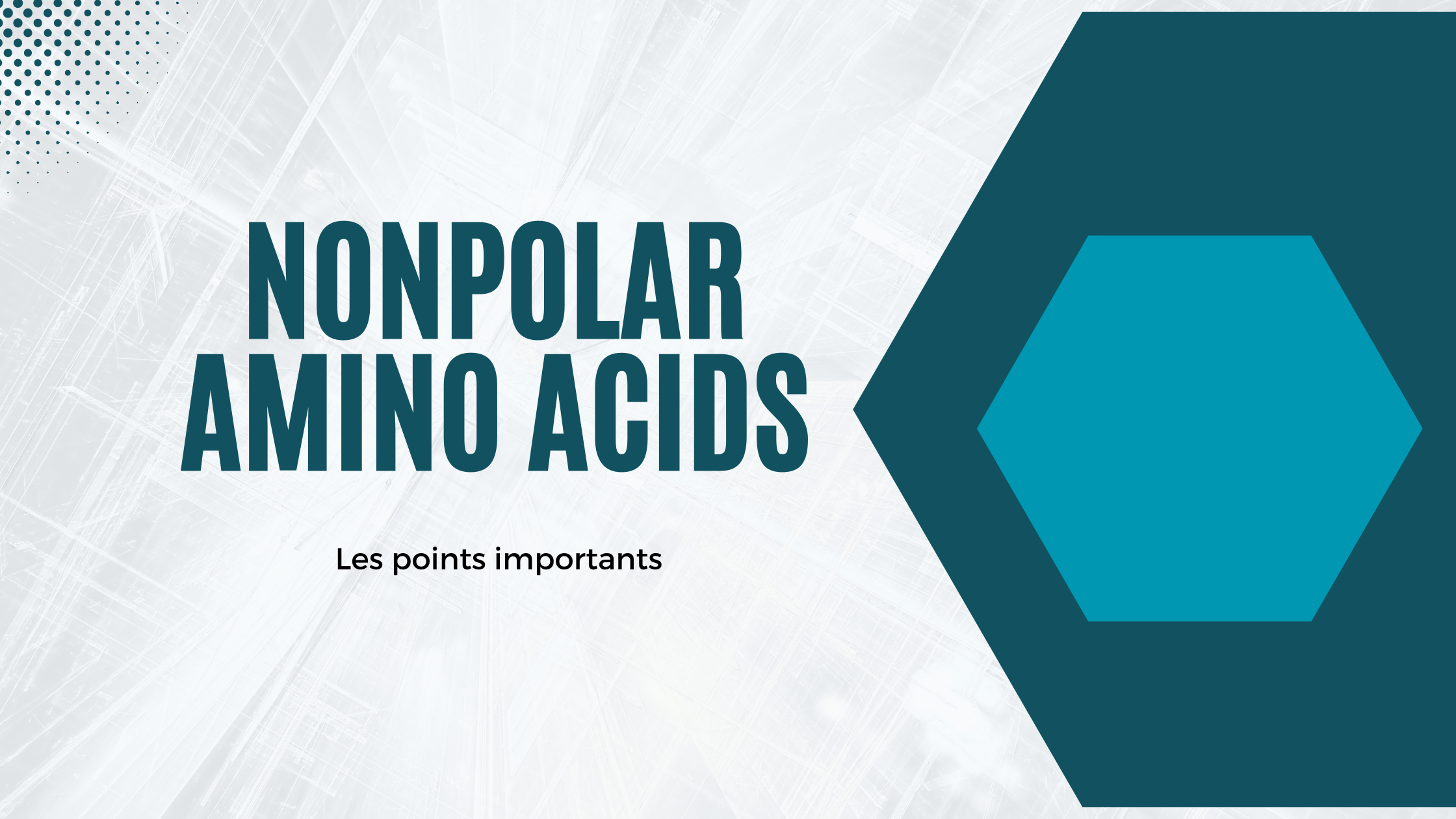 nonpolar amino acids | Les points importants