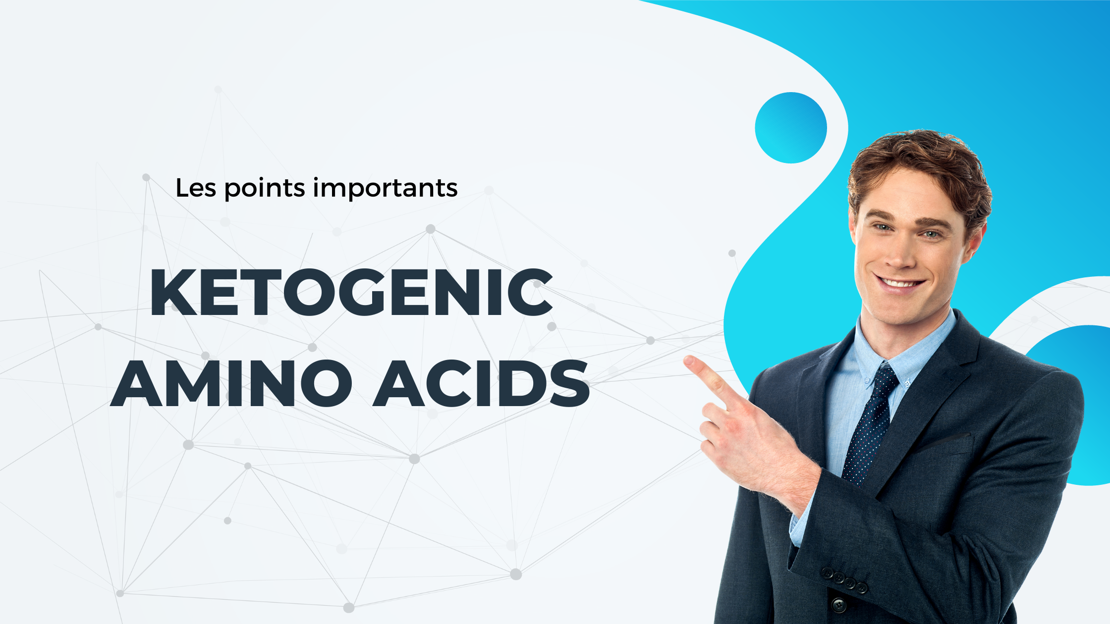 ketogenic amino acids | Les points importants