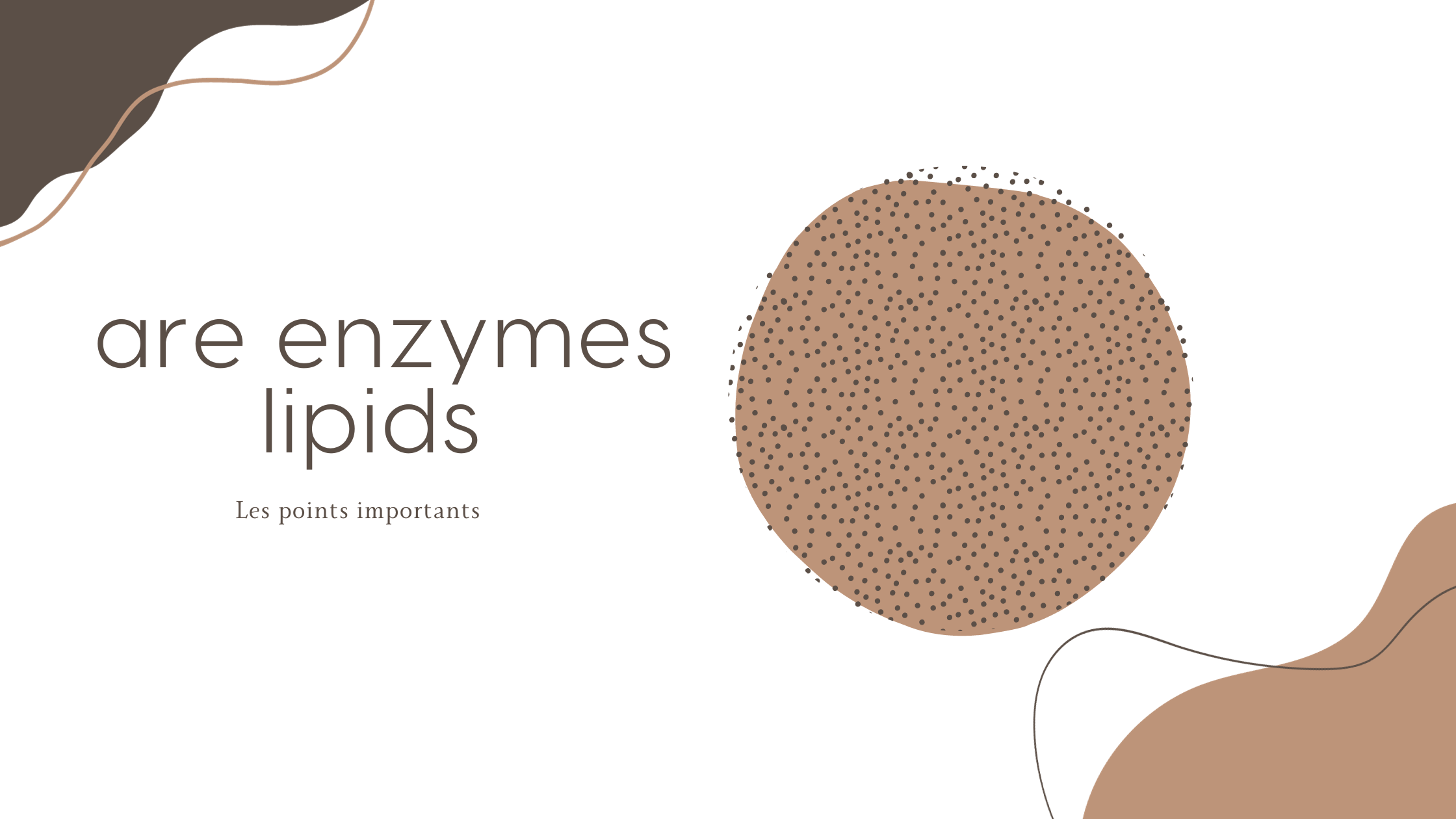 are enzymes lipids | Les points importants