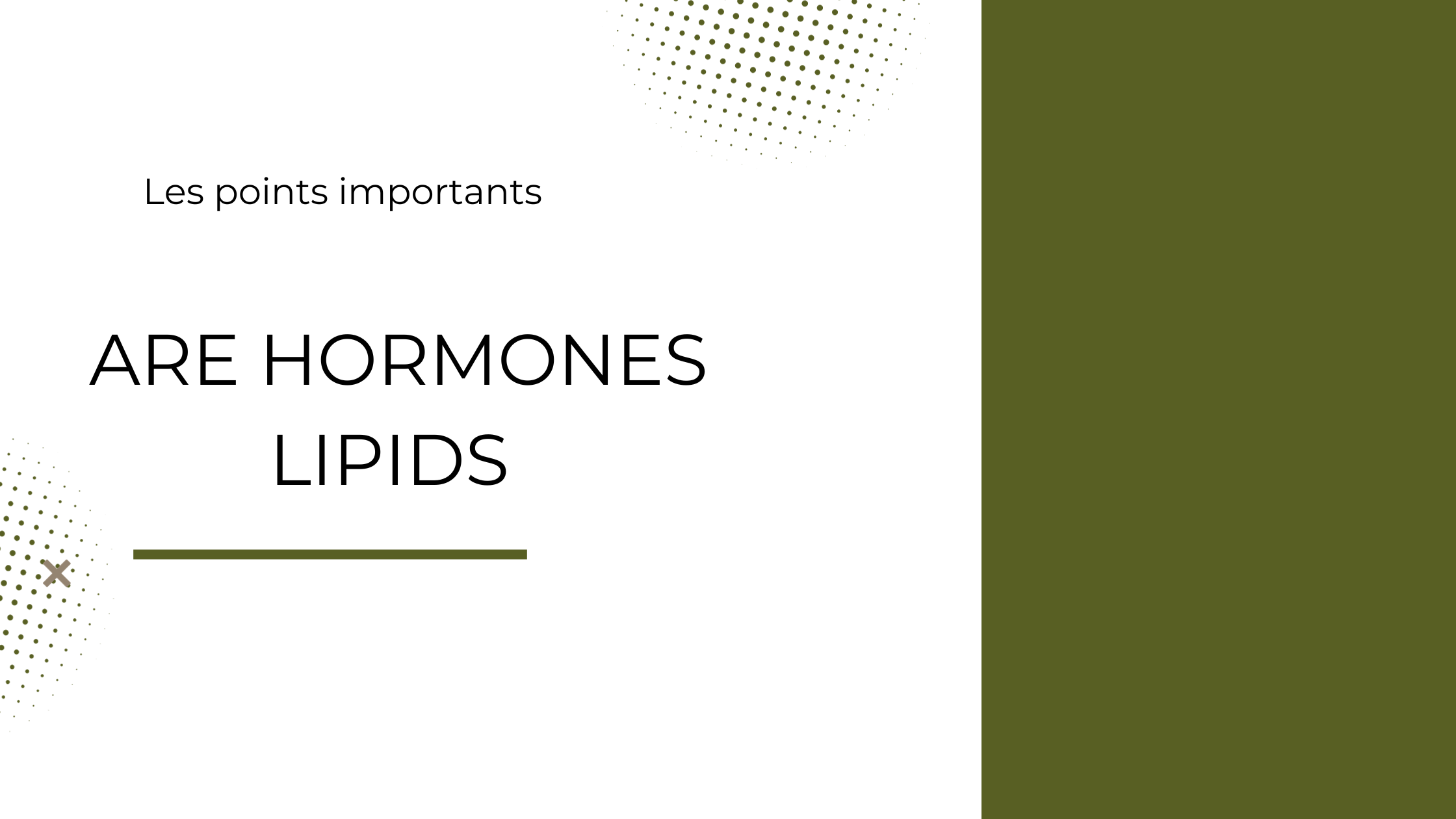 are hormones lipids | Les points importants