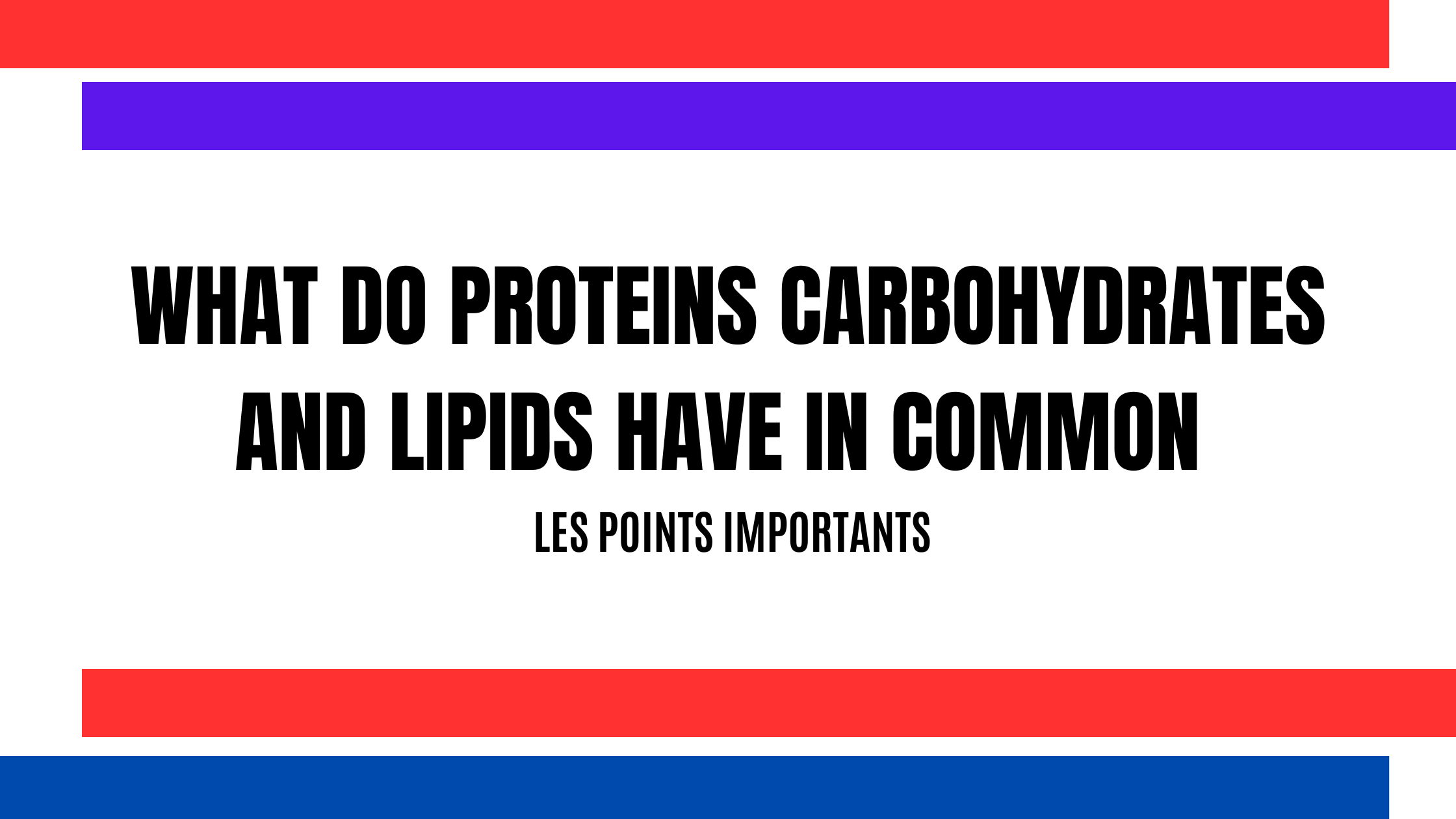 what do proteins carbohydrates and lipids have in common | Les points importants