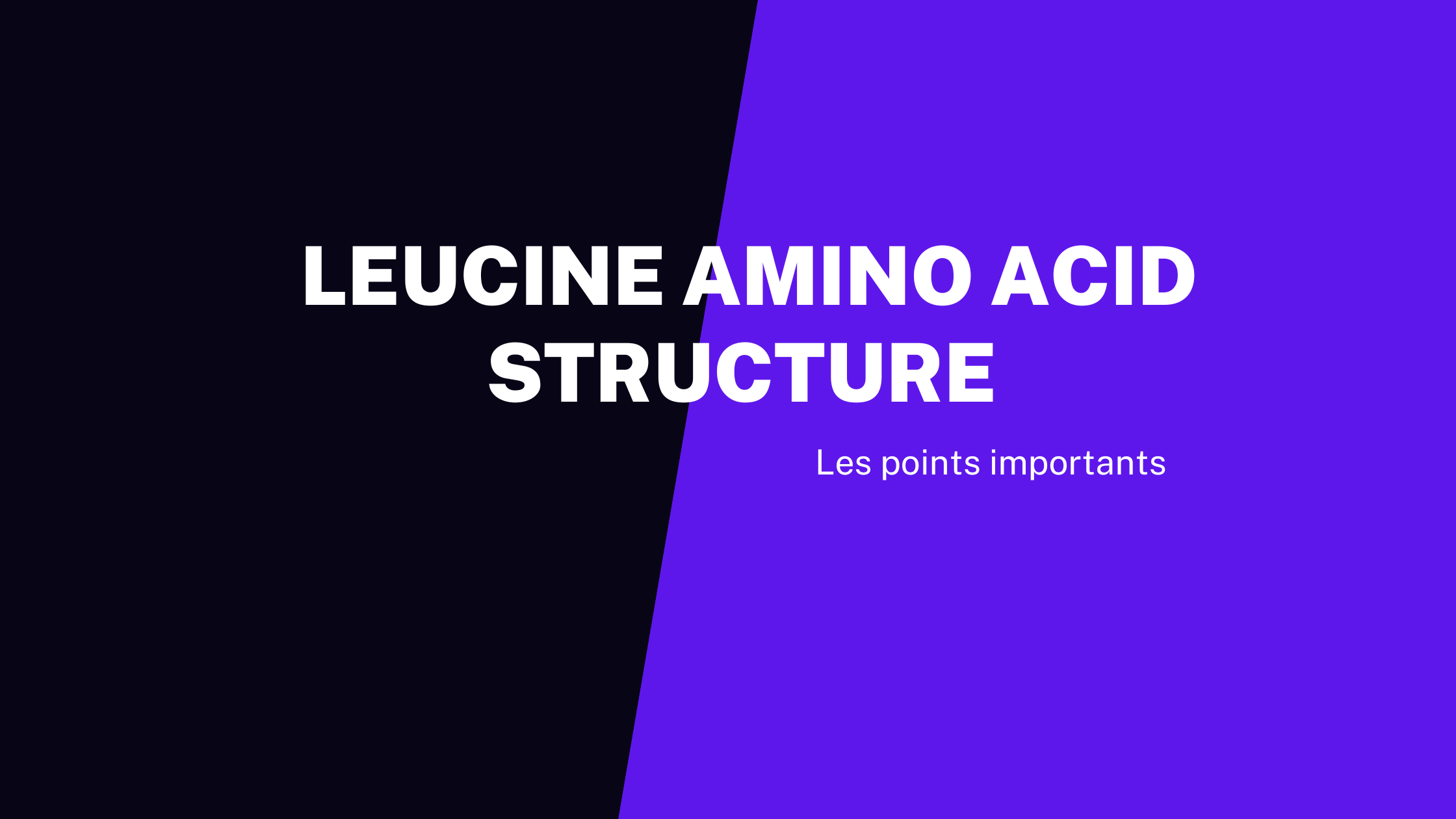 leucine amino acid structure | Les points importants