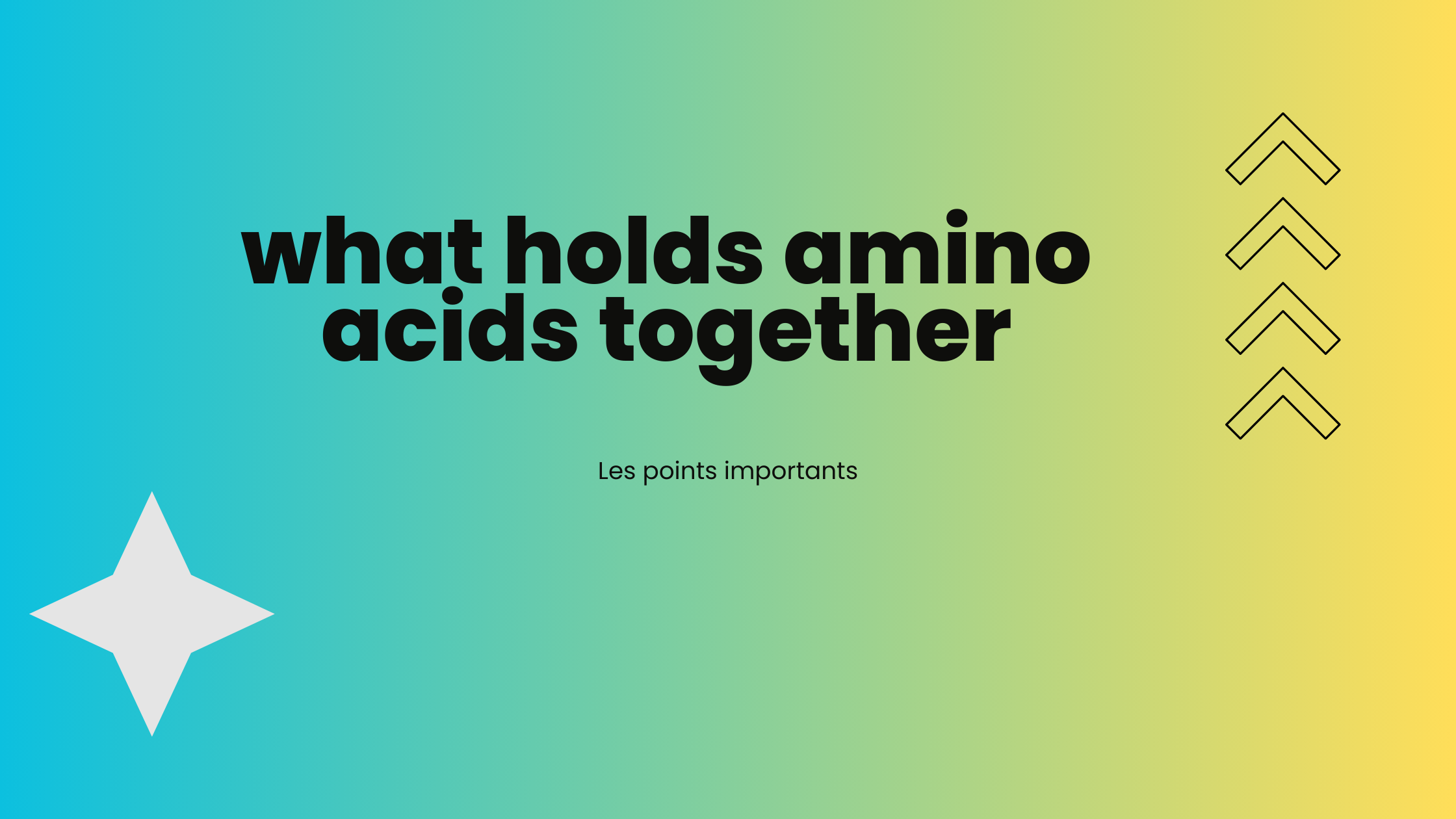 what holds amino acids together | Les points importants