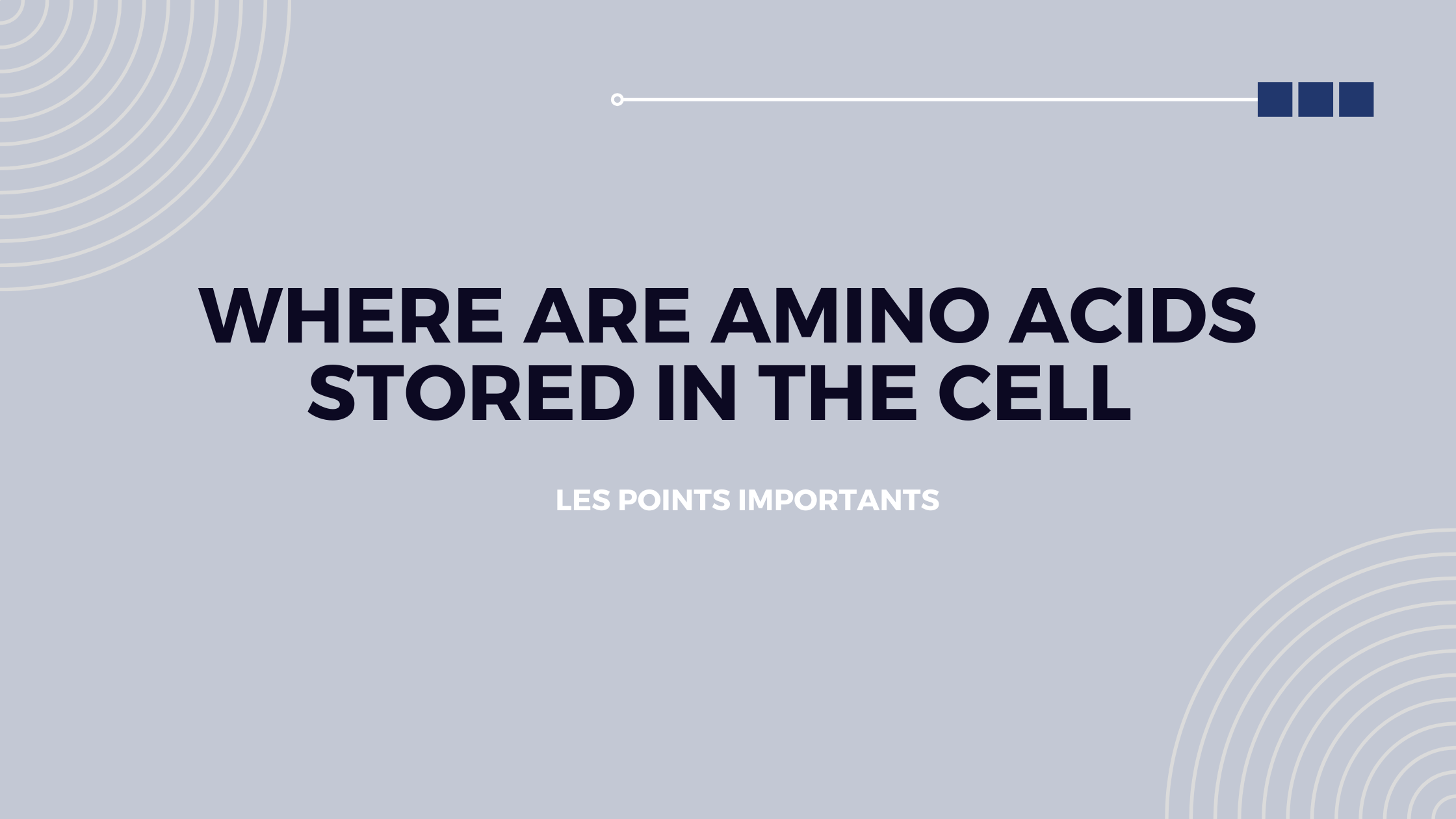 where are amino acids stored in the cell | Les points importants