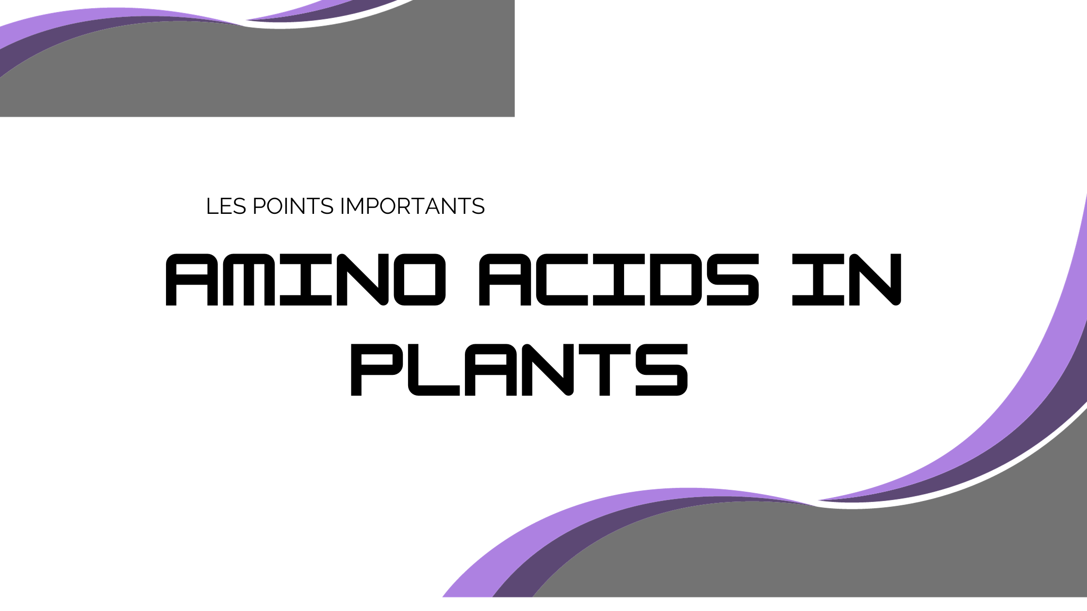 amino acids in plants | Les points importants
